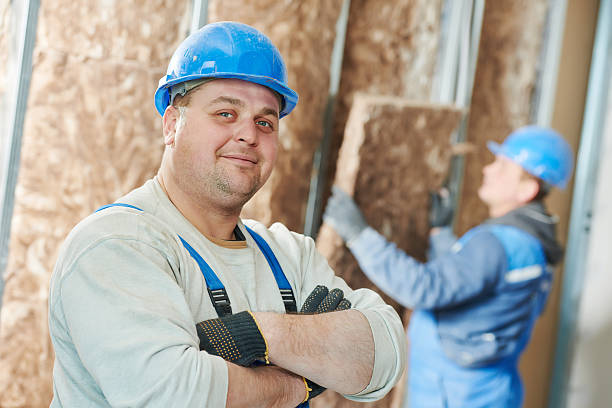 Best Insulation Installation Services in Waynesboro, GA